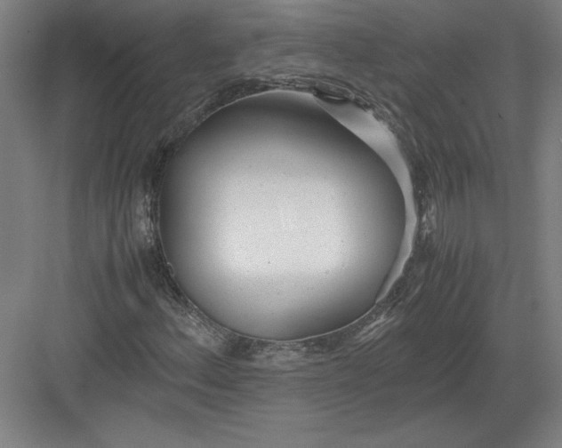 X0000082951156200702152232