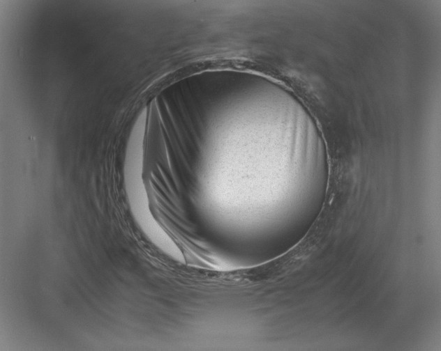 X0000082951159200702152232