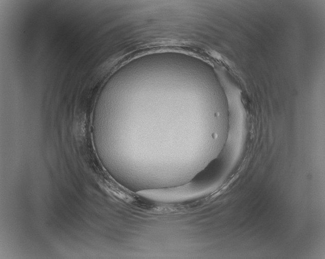 X0000082951161200702152232