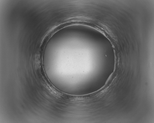 X0000082951164200702152232