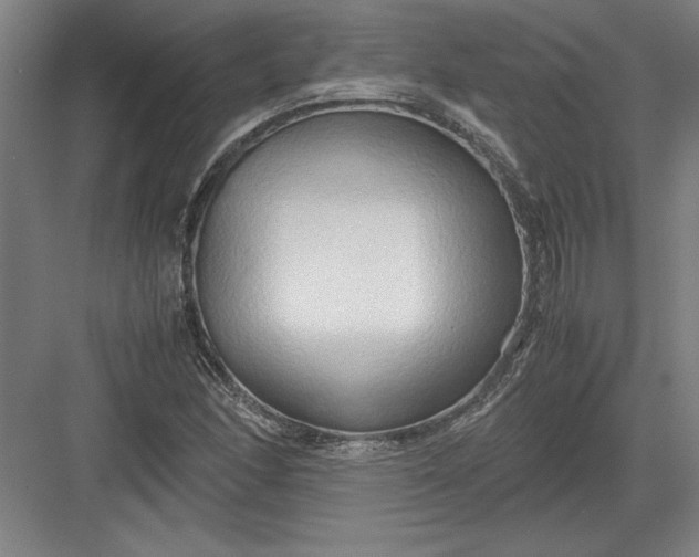 X0000082951166200702152232