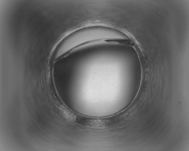 X0000082951167200702152232