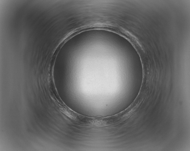 X0000082951170200702152232