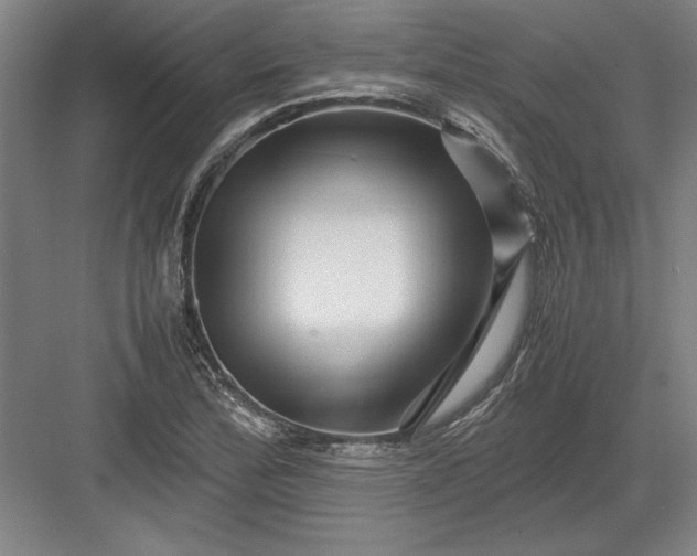 X0000082951172200702152232