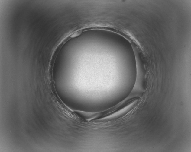 X0000082951173200702152232