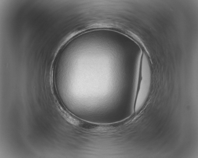X0000082951179200702152232
