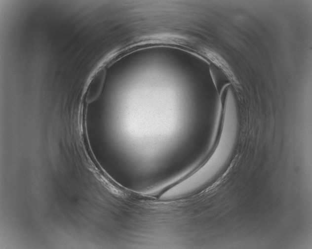 X0000082951180200702152232