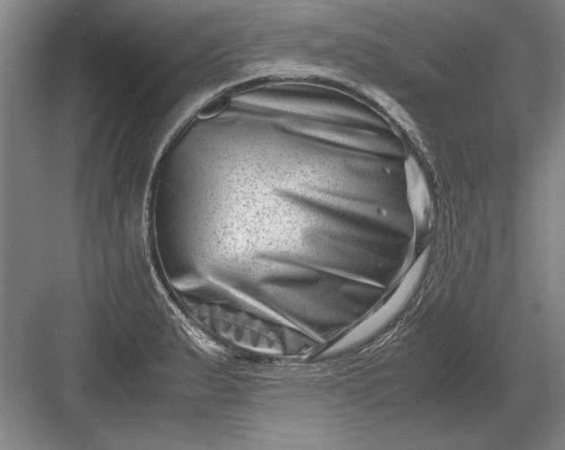 X0000082951183200702152232