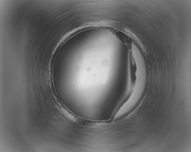 X0000082951184200702152232