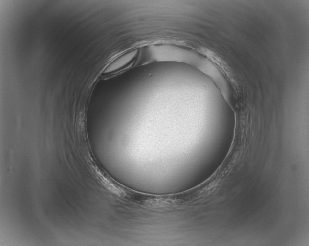 X0000082951185200702152232