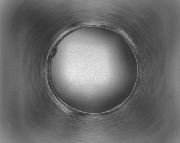 X0000082951187200702152232