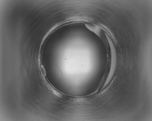 X0000082951188200702152232