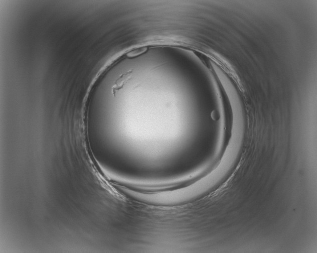X0000082951192200702152232