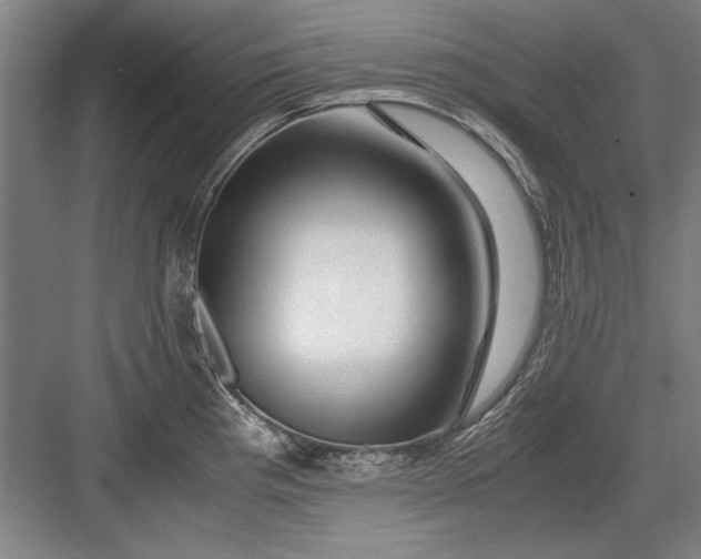 X0000082951193200702152232