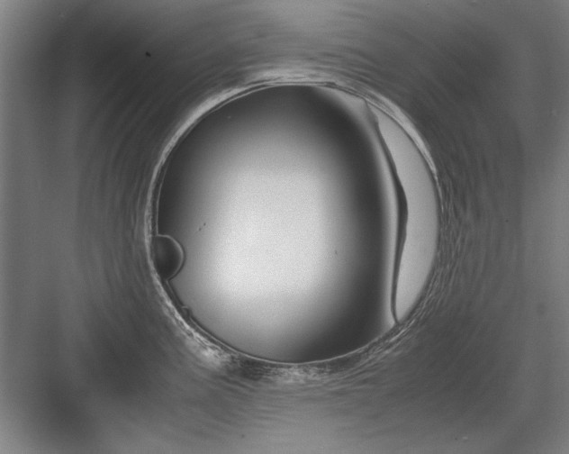 X0000082951195200702152232