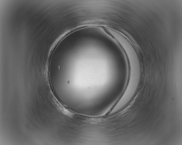 X0000082951196200702152232