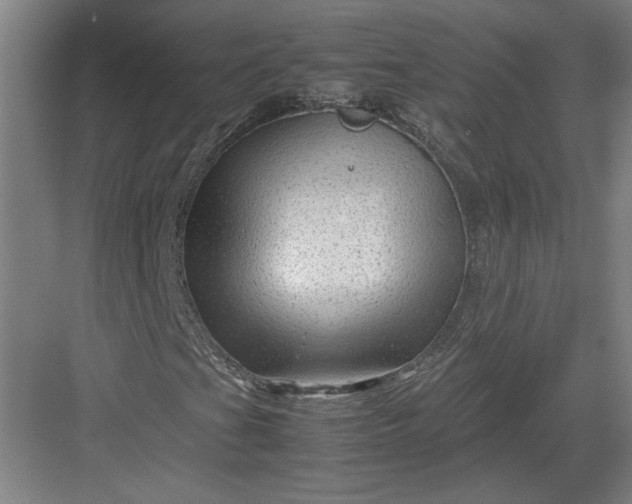 X0000082951201200702152231