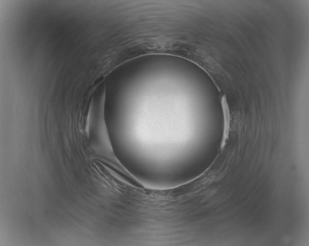 X0000082951202200702152231