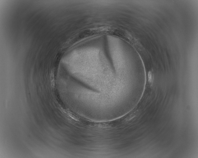 X0000082951203200702152231
