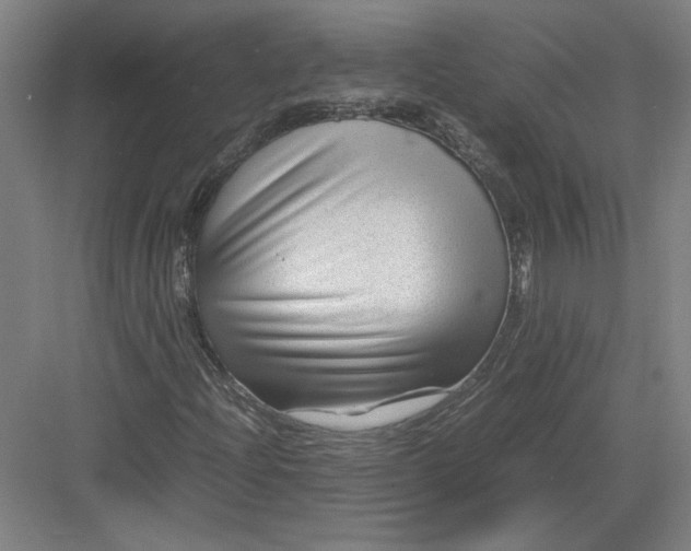 X0000082951204200702152231