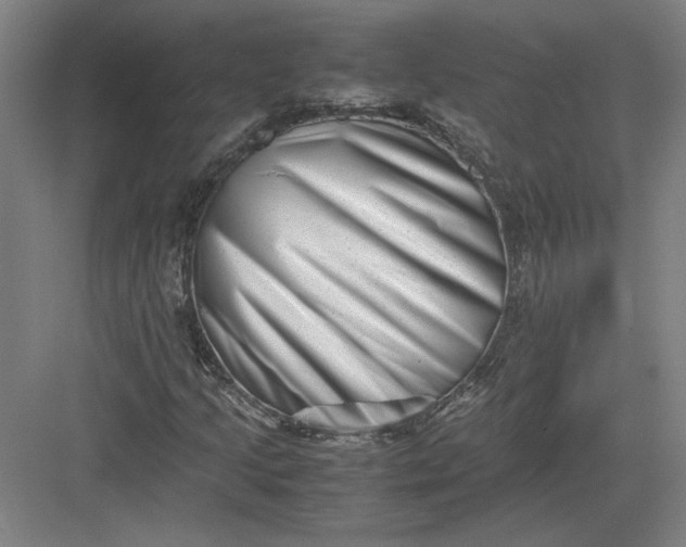 X0000082951205200702152231