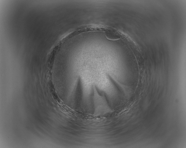 X0000082951207200702152231