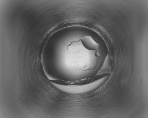 X0000082951210200702152231