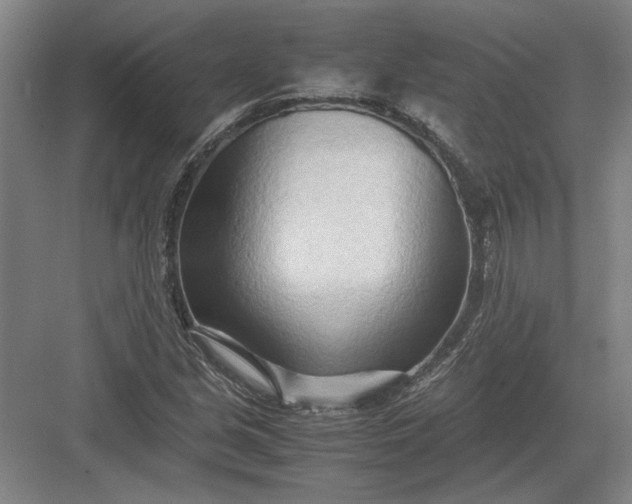 X0000082951213200702152231