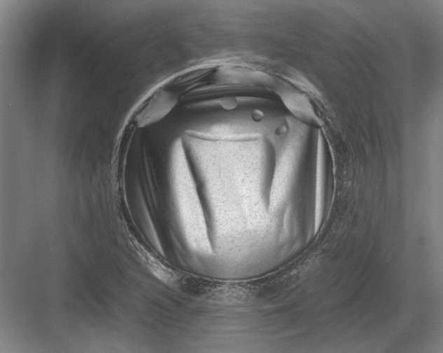 X0000082951216200702152231