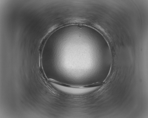 X0000082951219200702152231