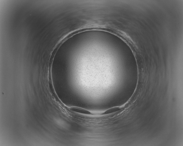 X0000082951220200702152231