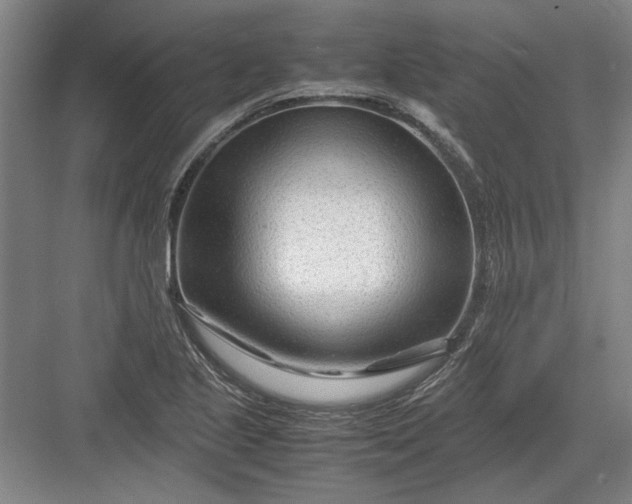 X0000082951221200702152231