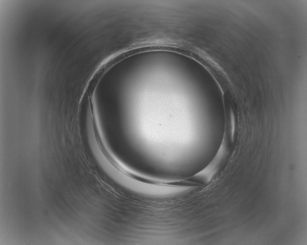 X0000082951222200702152231