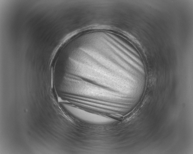 X0000082951223200702152231