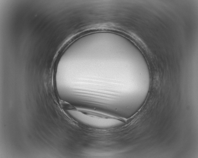 X0000082951224200702152231