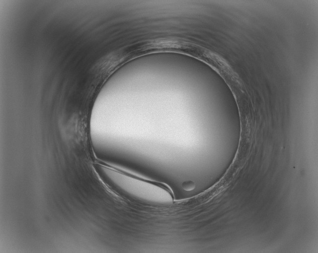 X0000082951225200702152231