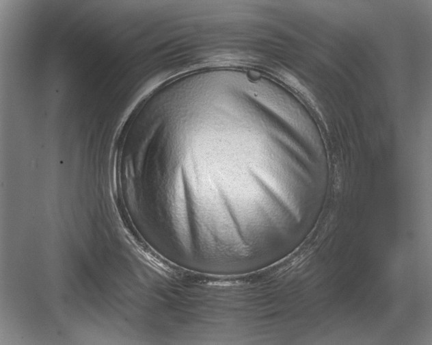 X0000082951227200702152231