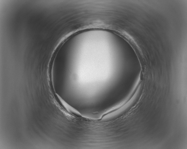 X0000082951230200702152231