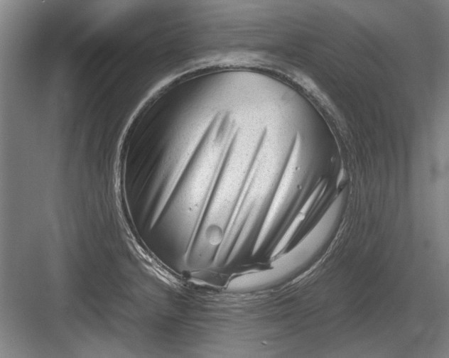X0000082951232200702152231
