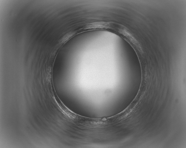 X0000082951233200702152231