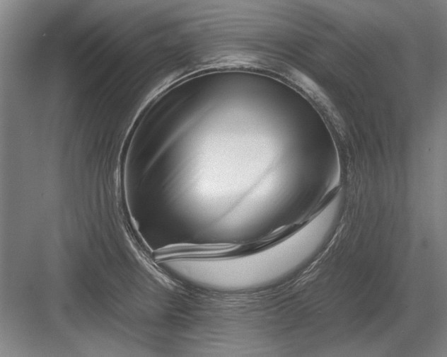 X0000082951234200702152231
