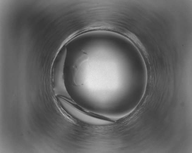 X0000082951242200702152232