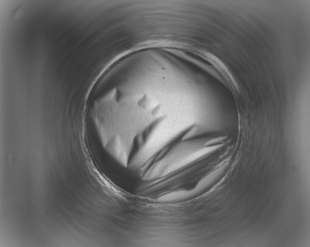 X0000082951244200702152232