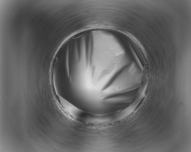 X0000082951246200702152232