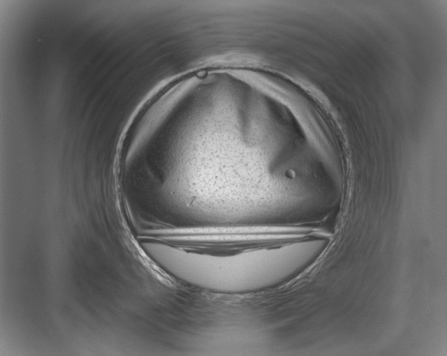 X0000082951248200702152232