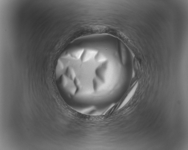 X0000082951249200702152231