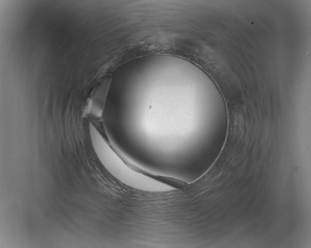 X0000082951250200702152231