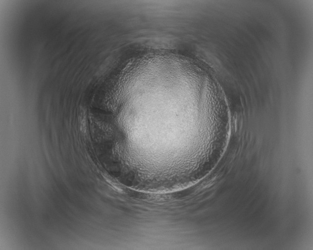 X0000082951251200702152231