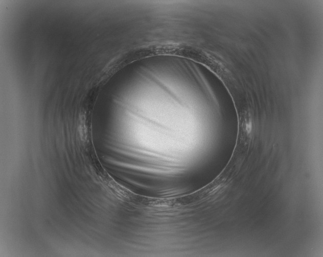 X0000082951252200702152231
