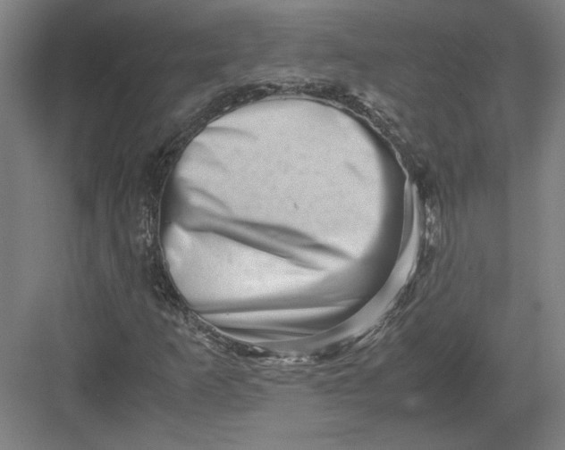 X0000082951253200702152231